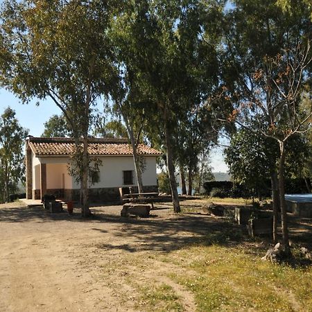 Casa Rural Casa De Las Aves Орельяна-ла-Вьеха Экстерьер фото