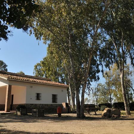 Casa Rural Casa De Las Aves Орельяна-ла-Вьеха Экстерьер фото