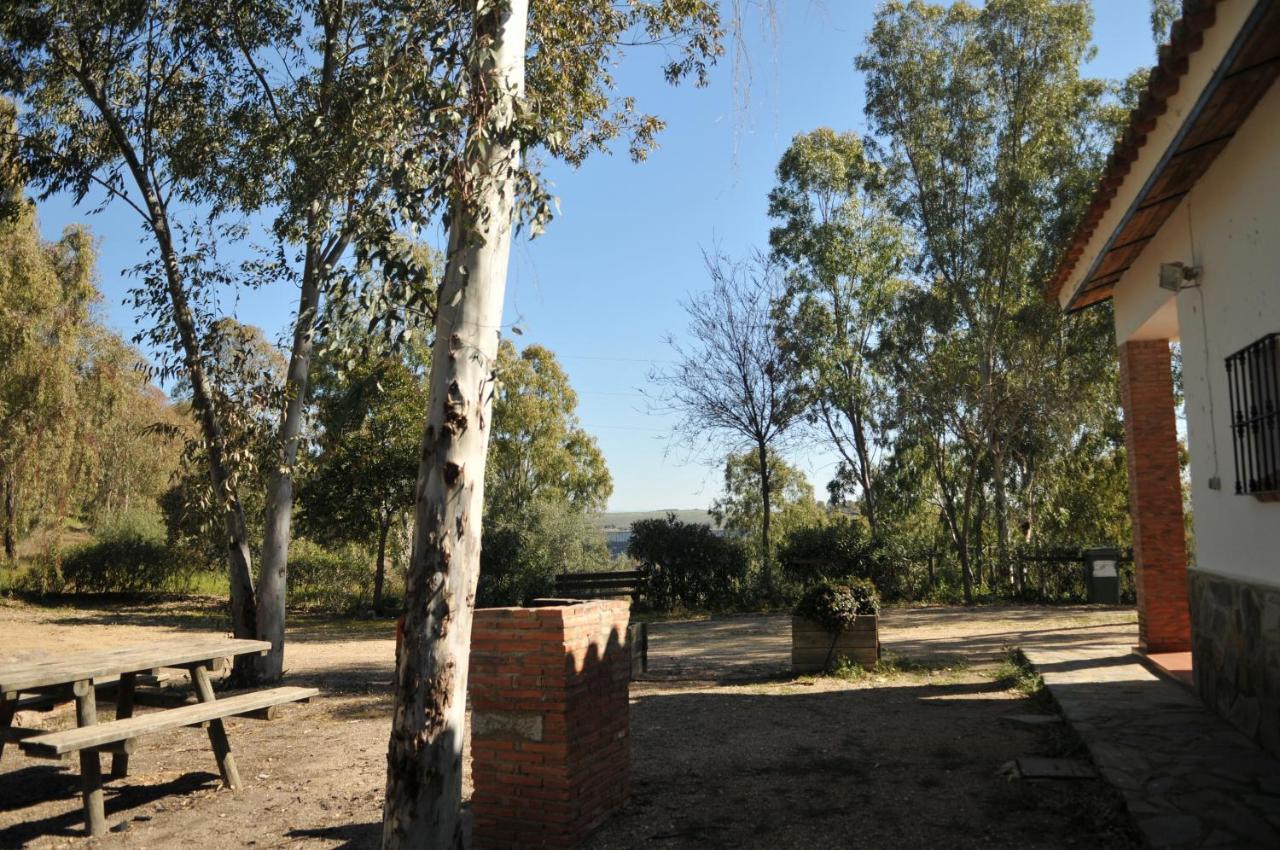 Casa Rural Casa De Las Aves Орельяна-ла-Вьеха Экстерьер фото