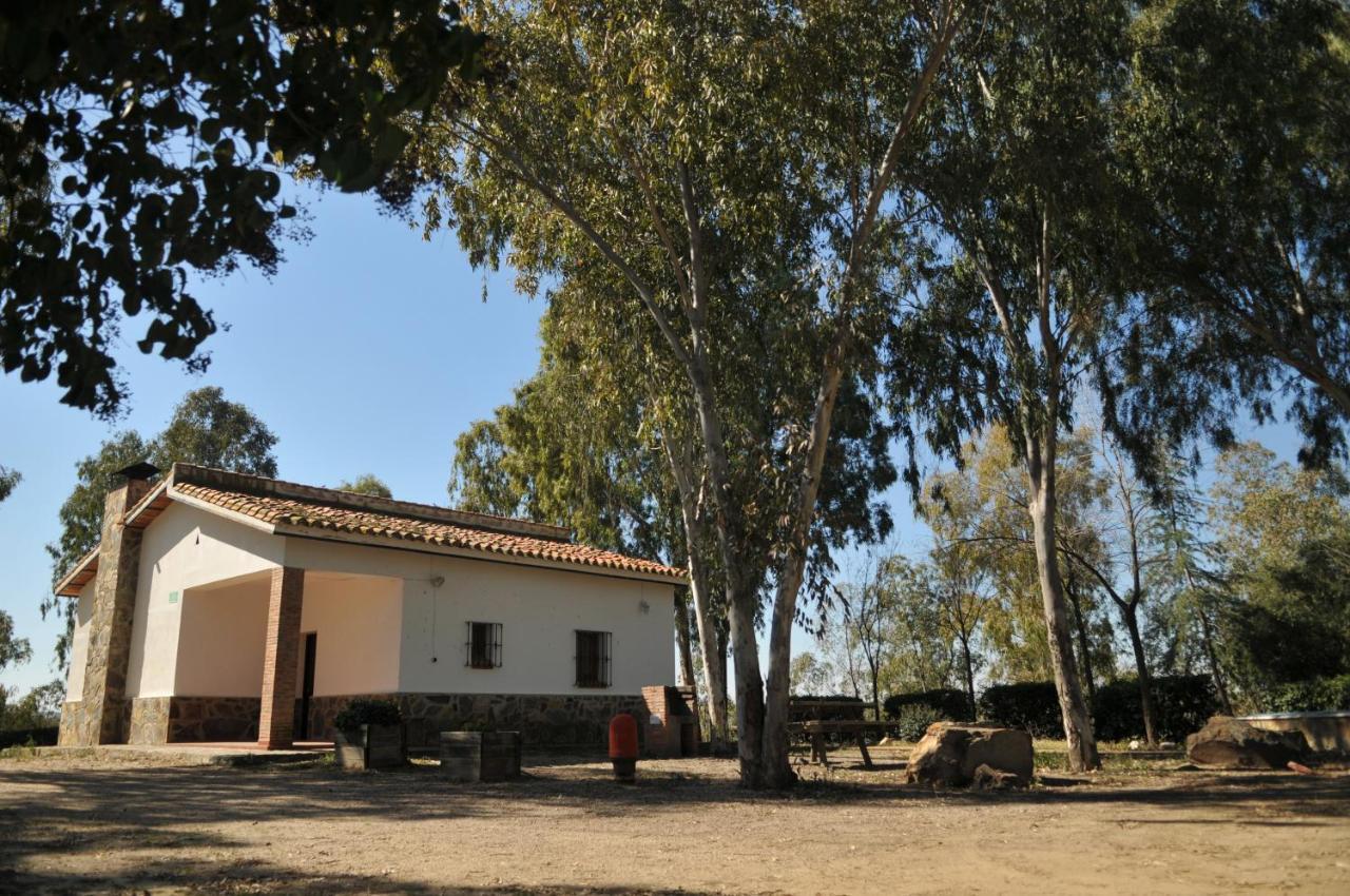 Casa Rural Casa De Las Aves Орельяна-ла-Вьеха Экстерьер фото